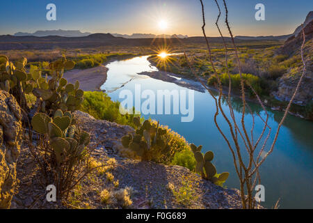 Le Parc National Big Bend au Texas est la plus grande zone protégée du Désert de Chihuahuan aux États-Unis. Banque D'Images