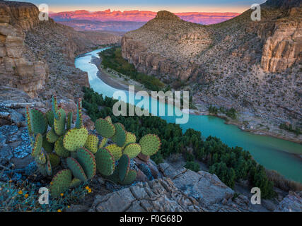 Le Parc National Big Bend au Texas est la plus grande zone protégée du Désert de Chihuahuan aux États-Unis. Banque D'Images