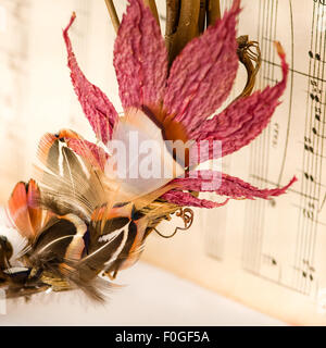 Libre de plumes de faisan et couronne de feuilles de papier à musique vintage contre Banque D'Images