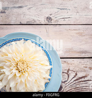 Dahlia sur plaques d'ivoire vintage Banque D'Images