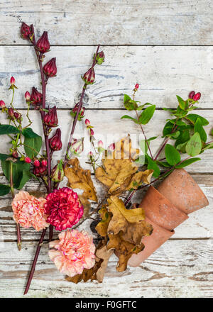 Fleurs d'automne et de baies sur une surface rustique Banque D'Images