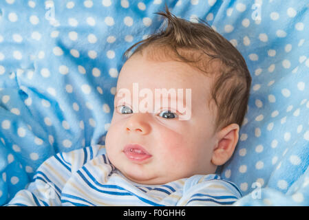 Portrait d'un bébé de 2 mois garçon sur une couverture bleue. Banque D'Images