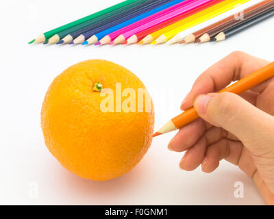 Le dessin ressemble à fruits et légumes sur fond blanc. Banque D'Images