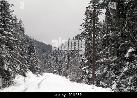 Abant lac avec de la neige Banque D'Images