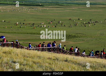 Shijiazhuang, Province de Hebei en Chine. Août 15, 2015. Les touristes visitent Luan River resort de Guyuan county, Province de Hebei en Chine du nord, le 15 août 2015. © Yang Shiyao/Xinhua/Alamy Live News Banque D'Images