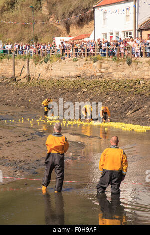 Staithes, UK. Août 15, 2015. La ligne d'arrivée de la RNLI (Royal National Lifeboat Institute) la course de canards dans le village de pêcheurs de Staithes sur la côte nord-est de l'Angleterre.Dimanche 16 août 2015, UK Crédit : Graham Hardy/Alamy Live News Banque D'Images