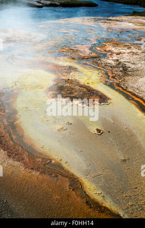 Piscine jaune, Yellowstone National Park, Wyoming, USA Banque D'Images