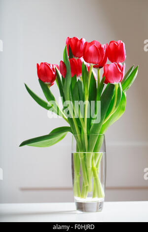 Belles tulipes rouges dans un vase sur mur blanc Banque D'Images