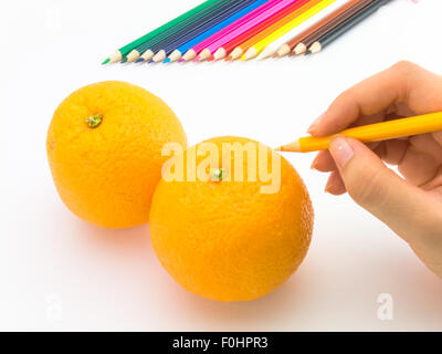 Le dessin ressemble à fruits et légumes sur fond blanc. Banque D'Images