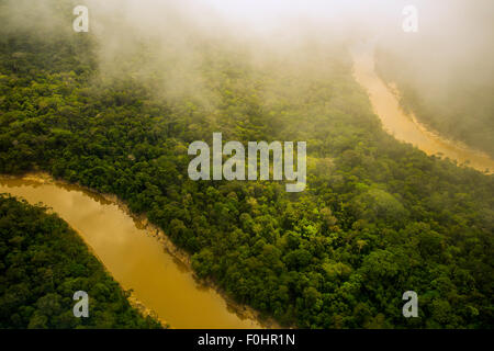 Amazon Rainforest aerial. La forêt primaire, la rivière Yavari Miri, entre Iquitos, Pérou et frontière brésilienne Banque D'Images