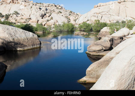 Barker Dam dans Joshua Tree National Park en Californie .construite en début cattlemen CO Barker et soulevée en 1949 par W Touches F Banque D'Images