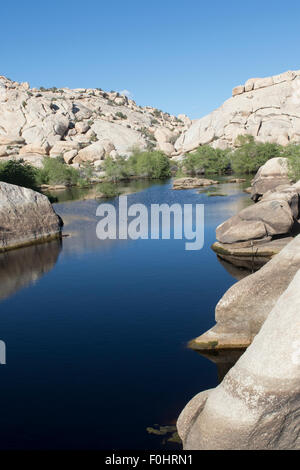 Barker Dam dans Joshua Tree National Park en Californie .construite en début cattlemen CO Barker et soulevée en 1949 par W Touches F Banque D'Images