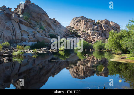 Barker Dam dans Joshua Tree National Park en Californie .construite en début cattlemen CO Barker et soulevée en 1949 par W Touches F Banque D'Images