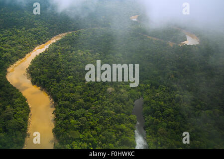 Antenne de la forêt tropicale. La forêt primaire, la rivière Yavari Miri et Oxbow, entre Iquitos, Pérou et frontière brésilienne Banque D'Images
