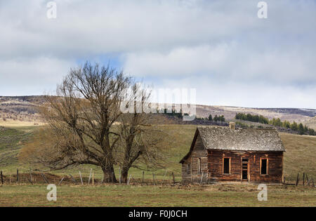 Cabane abandonnée ferme et arbre au milieu d'un champ et collines Banque D'Images