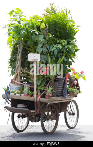 Un homme à vélo et de transporter un grand nombre de fleurs et plantes sur son vélo dans la rue de Shanghai, Chine 3 avril 2013. Banque D'Images