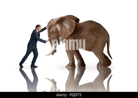 Épreuve de force concept businessman pushing contre un éléphant isolé sur fond blanc Banque D'Images