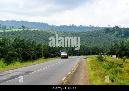 Chariot sur un franchissement routier dans une plantation de palmiers près du Mont Cameroun Banque D'Images