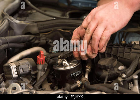 Un mécanicien d'effectuer l'entretien de routine d'un remplacement du filtre à huile sur une voiture dans un garage automobile lors d'un mot. Banque D'Images