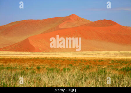 Sossusvlei est un sel et de l'argile pan entouré de hautes dunes rouges, situé dans la partie sud du désert du Namib Banque D'Images