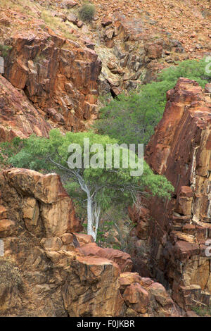 L'Epupa Falls sont créés par la rivière Kunene, à la frontière de l'Angola et la Namibie, dans le Kaokoland domaine de la région de Kunene. Banque D'Images