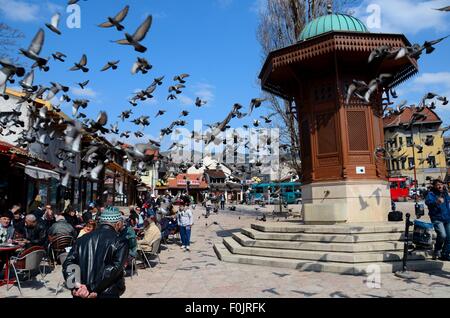 Pouf en bois de l'eau dans la fontaine Sebilj Sarajevo Bosnie Bascarsija Banque D'Images