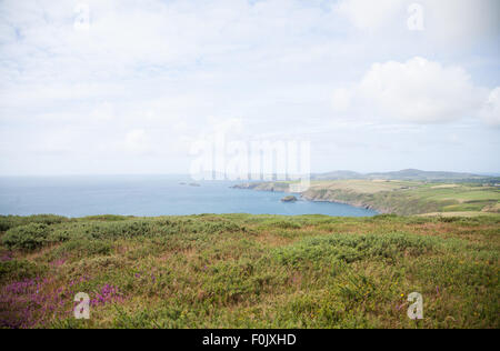 Une vue du sentier à Penarfynydd * Plusieurs autres calvaires parsèment, stylo, Llyn sur la côte et sur la mer d'Ynys Enlli / Bardsey Banque D'Images