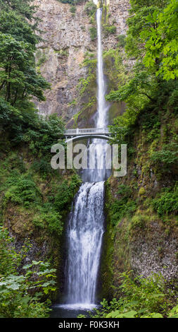 La pleine longueur de Multnomah Falls et la passerelle Benson, près de Portland, Oregon Banque D'Images