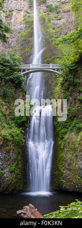 Un panorama vertical de Multnomah Falls, la plus haute des Cascades en Oregon, et l'un des plus hauts dans les États-Unis. Banque D'Images