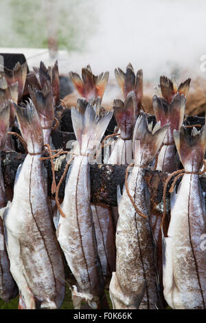 L'aiglefin cuit le poisson fumé, Smokies préservé, spécialités de fruits de mer à Arbroath Fest, au nord-est de l'Ecosse, Royaume-Uni Banque D'Images