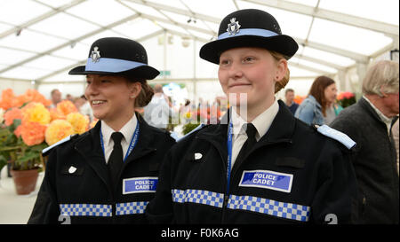 Cadets de police les agents bénévoles british uk west mercia vigueur Banque D'Images