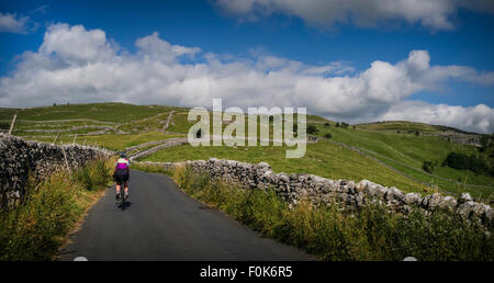 Femelle adulte coureur au Yorkshire Dales national park. Banque D'Images