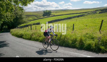 Femelle adulte coureur au campagne du Yorkshire. Banque D'Images