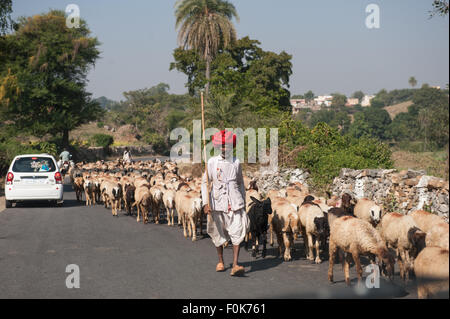 L'Inde ; route d'Udaipur à Jodhpur. Berger en turban rouge typique du Rajasthan. Banque D'Images