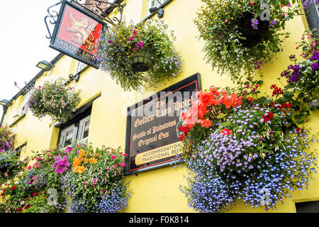 Le Golden Lion Hotel dans Lanadwell Street, Padstow, Cornwall, England, UK Banque D'Images