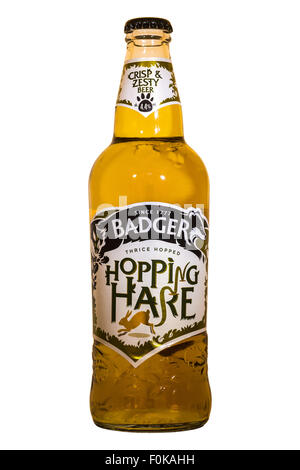 Hall & Woodhouse (Badger) Hopping Hare bière en bouteille - 2015. Banque D'Images