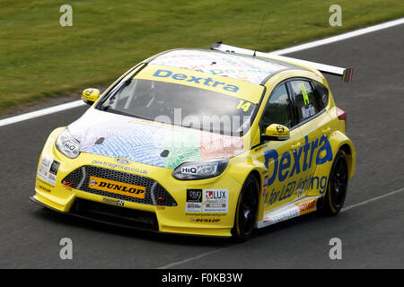 Alex Martin dans son Dextra Racing Ford Focus ST Oulton Park BTCC Banque D'Images