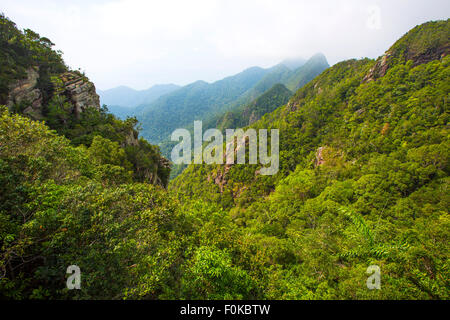 Paysage de montagne luxuriante et brumeux à Langkawi en Malaisie Banque D'Images