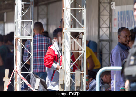 Catane, Italie. 17 août, 2015. Les migrants en attente d'identification. Credit : Simone Genovese/Alamy Live News Banque D'Images