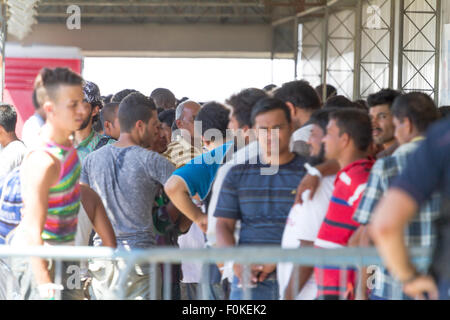 Catane, Italie. 17 août, 2015. Les migrants en attente d'identification. Credit : Simone Genovese/Alamy Live News Banque D'Images