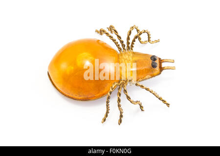 Broche de l'orange, spider, isolé sur blanc. Banque D'Images