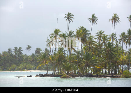 Océan et cocotiers dans les îles San Blas, Panama 2014. Banque D'Images