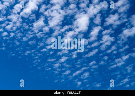 Cirrocumulus nuages répandre sur ciel bleu Banque D'Images