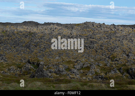 L'Islande, à l'ouest de l'Islande (aka Vesturland), Péninsule de Snæfellsnes Snaefellnes (aka). Parc National Snaefellsjokull, champs de lave. Banque D'Images