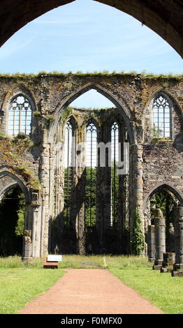 Ruines d'un bâtiment de l'abbaye d'Auine Cisterciënzer. Belgique Banque D'Images