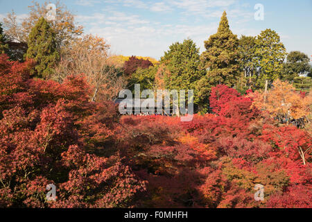 Tsutenkyo Bridge en automne, Temple Tōfuku-ji, Kyoto, Japon, Asie Banque D'Images