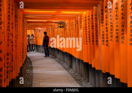 Senbon Torii (1 000) portes Torii, Fushimi Inari Taisha, Kyoto, Japon, Asie Banque D'Images