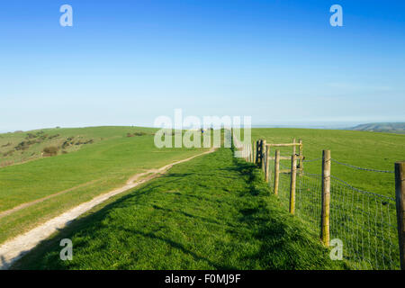 Sentier South Downs Way près de Brighton, East Sussex, Angleterre, Royaume-Uni Banque D'Images