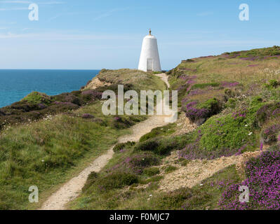 Sentier étroit à la poivrière jours haut au-dessus de Portreath Cornwall, UK. Banque D'Images