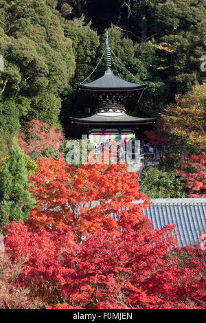 Les érables en automne et la pagode, Eikan-do (Temple bouddhiste), le nord de Higashiyama, Kyoto, Japon, Asie Banque D'Images